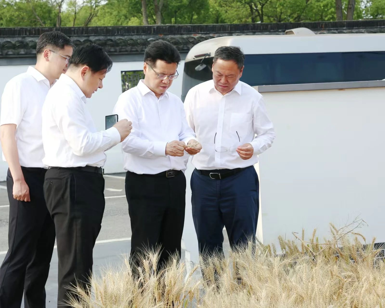 王剑锋调研金坛茅山片区